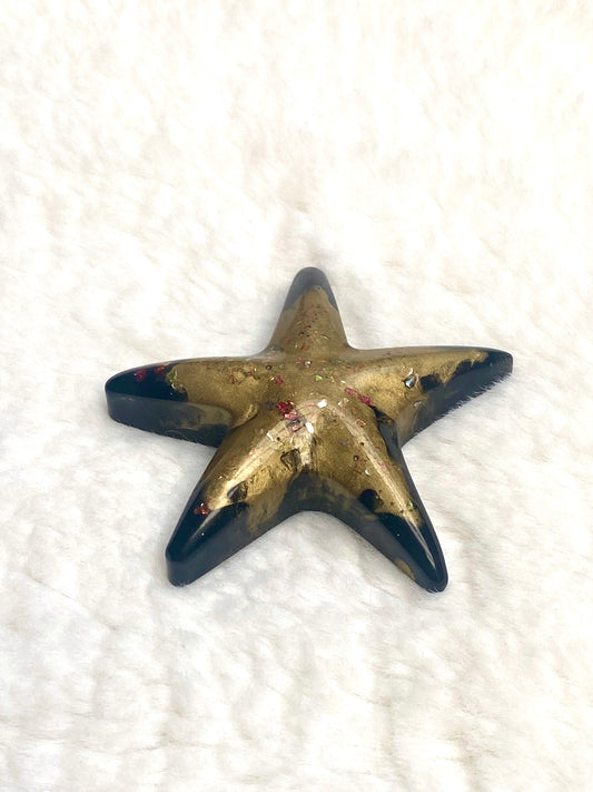 Shining Star - Decorative Star